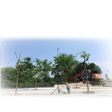 Load image into Gallery viewer, WINDCAMP Gipsy 5-50MHz Coil Dipole HF Short Wave Antenna and Balun 10 Metres Antenna Mobile WINDCAMP   
