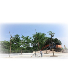 Load image into Gallery viewer, WINDCAMP Gipsy 5-50MHz Coil Dipole HF Short Wave Antenna / Aerial and Balun 5 Metres Antenna Mobile WINDCAMP   
